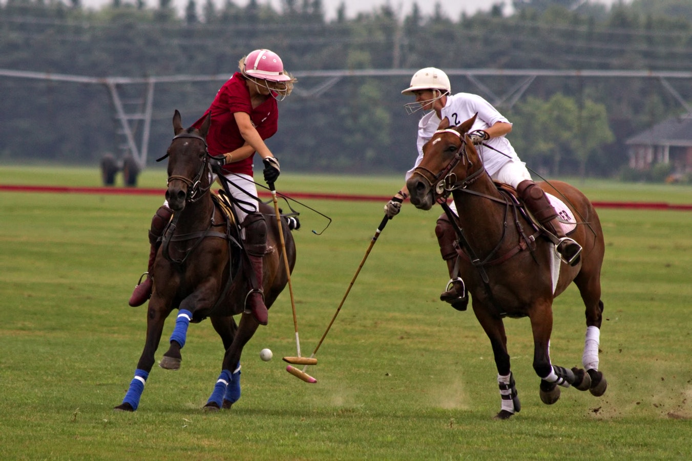 Exploring the Historical Journey of Polo: From 19th Century India to Britain’s Equestrian Sports Scene