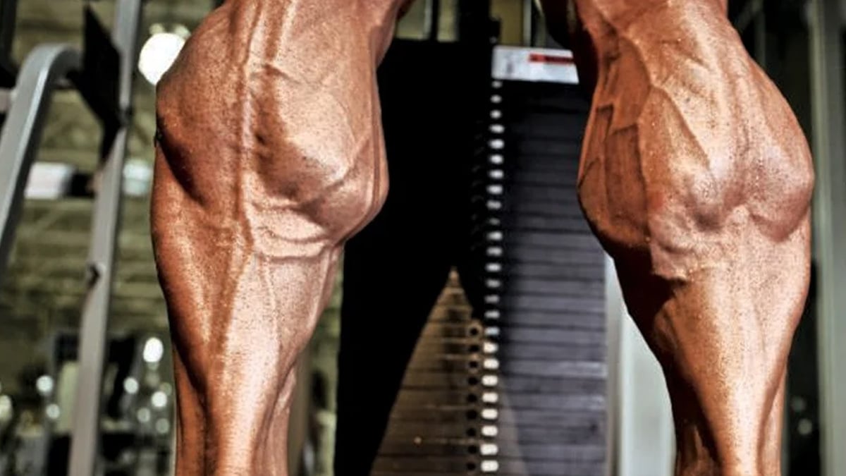 The Bigger Calves A Comprehensive Guide On Calf Raises Flexmeup