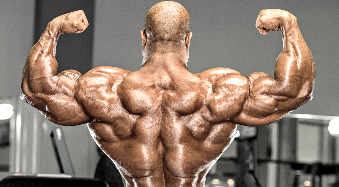 The Best Back Exercises for Building Muscle