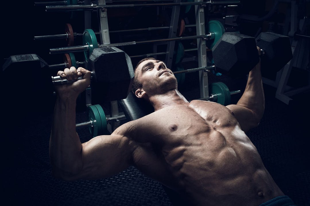 Achieve Killer Pecs in Just 3 Moves with Build Killer Pecs