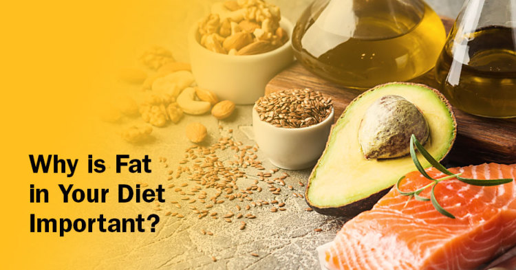 The Power of Healthy Fats: Unleashing the Hidden Benefits for Women’s Wellness