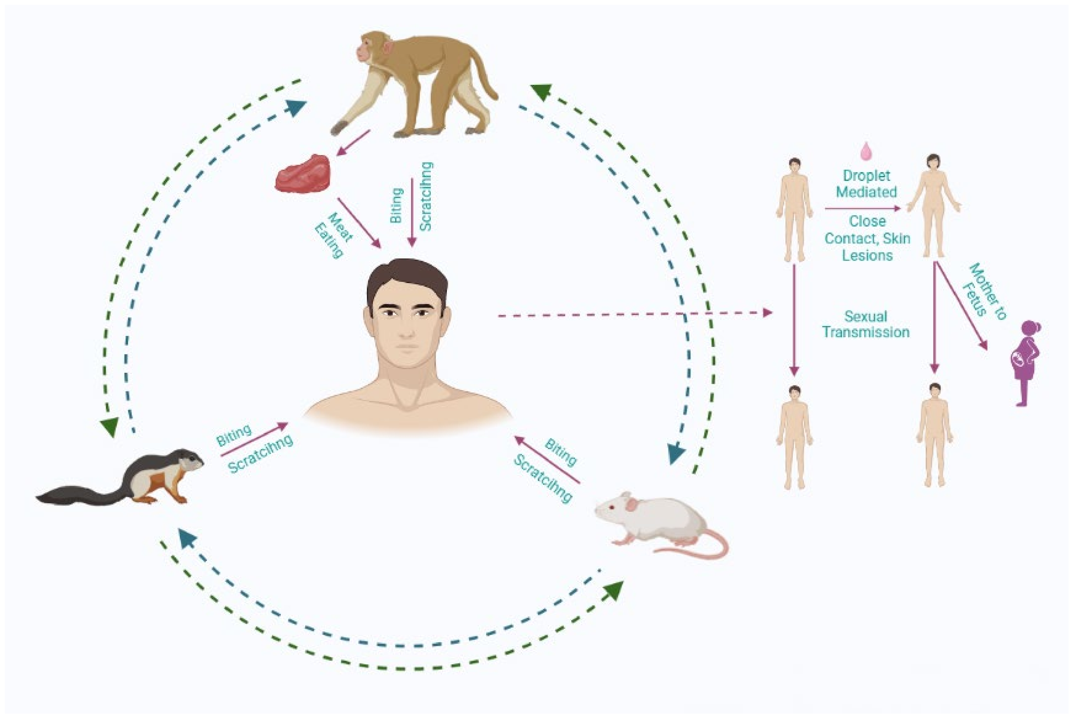 Mpox Awareness: Essential Insights on Prevention, Treatment Options, and Crucial Next Steps for Those Affected