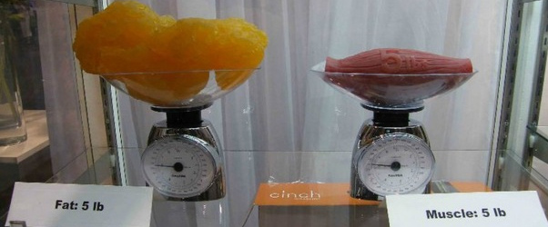 Want to Lose Weight? Discover Surprising Alternatives to Running That Will Transform Your Fitness Journey!